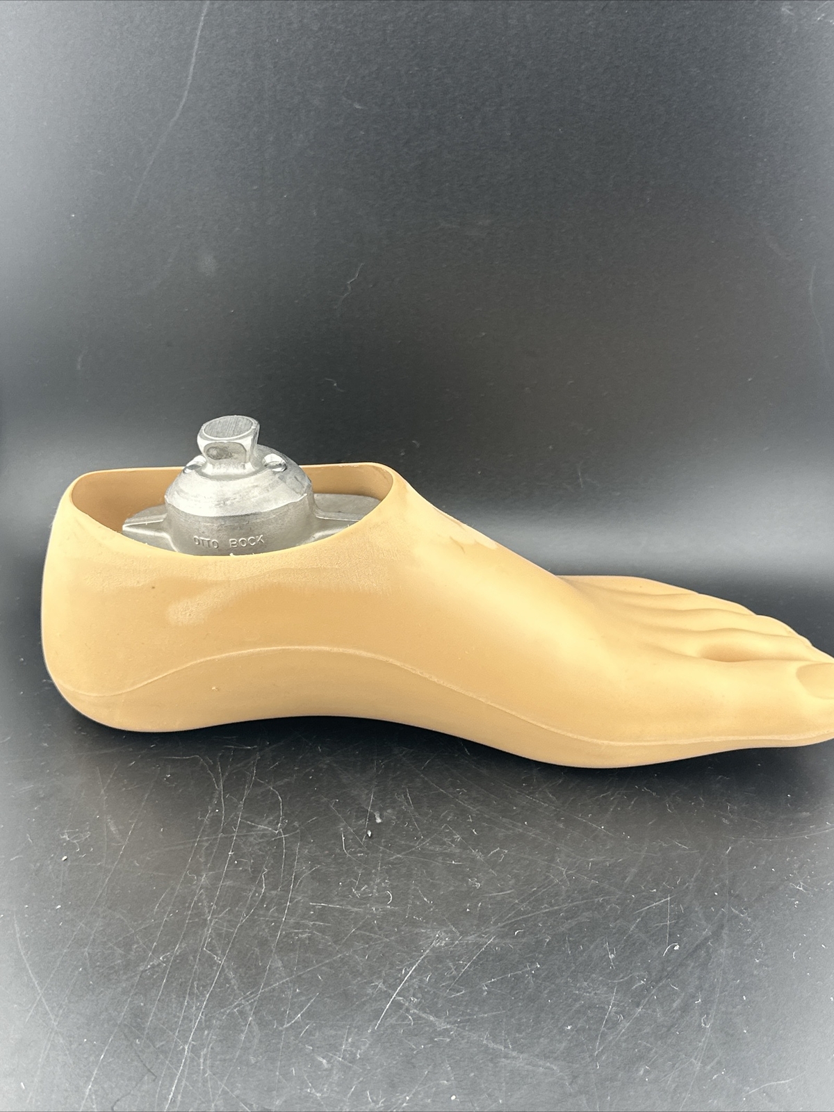 Otto Bock Left 1A30 prosthetic Foot. Size 27. Left Prosthetic Foot