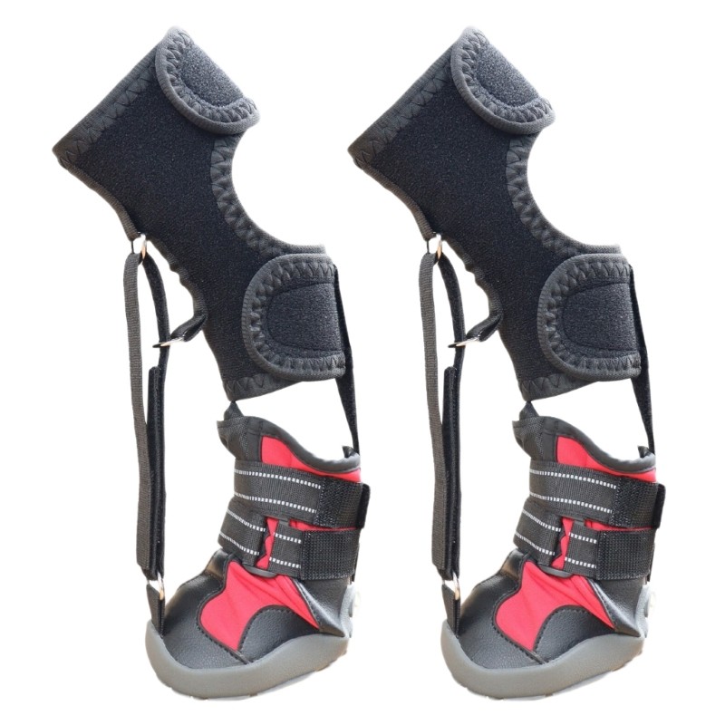 Dog Foot Brace with Reel(No Knuckling Boot Brace) for Dogs Dog Shoes