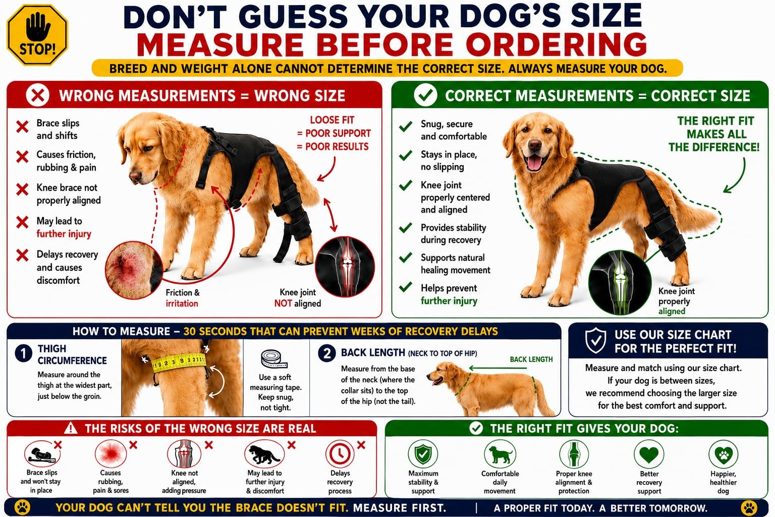 VELONASIS Dog Knee Brace for Rear Hind Legs ACL/CCL – Dual-Leg Support with 4…