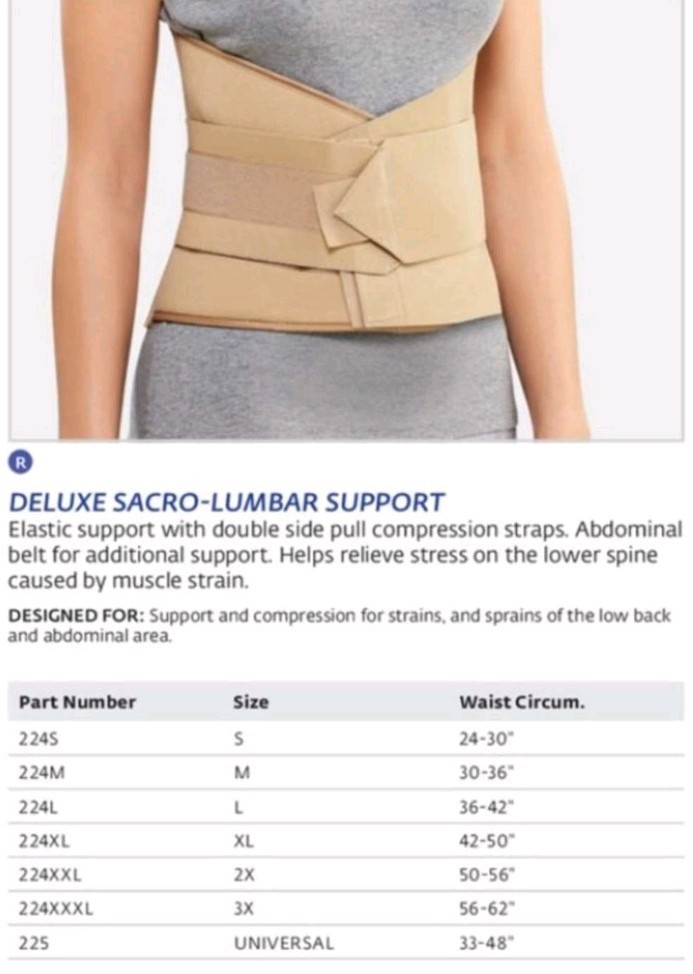 Bell-Horn Deluxe Sacro-Lumbar Support Lumbar Belt Back/Abdomen Adj Beige S 224S