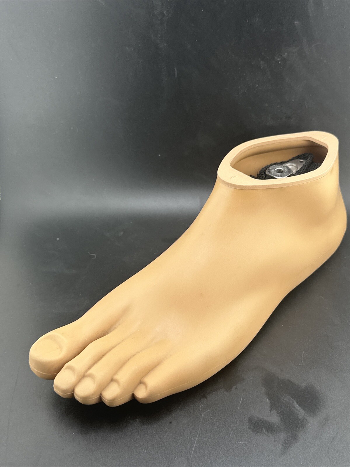 Ottobock Otto Bock Taleo LP 1C53 Prosthetic Foot. Size 28. Category 8. Left