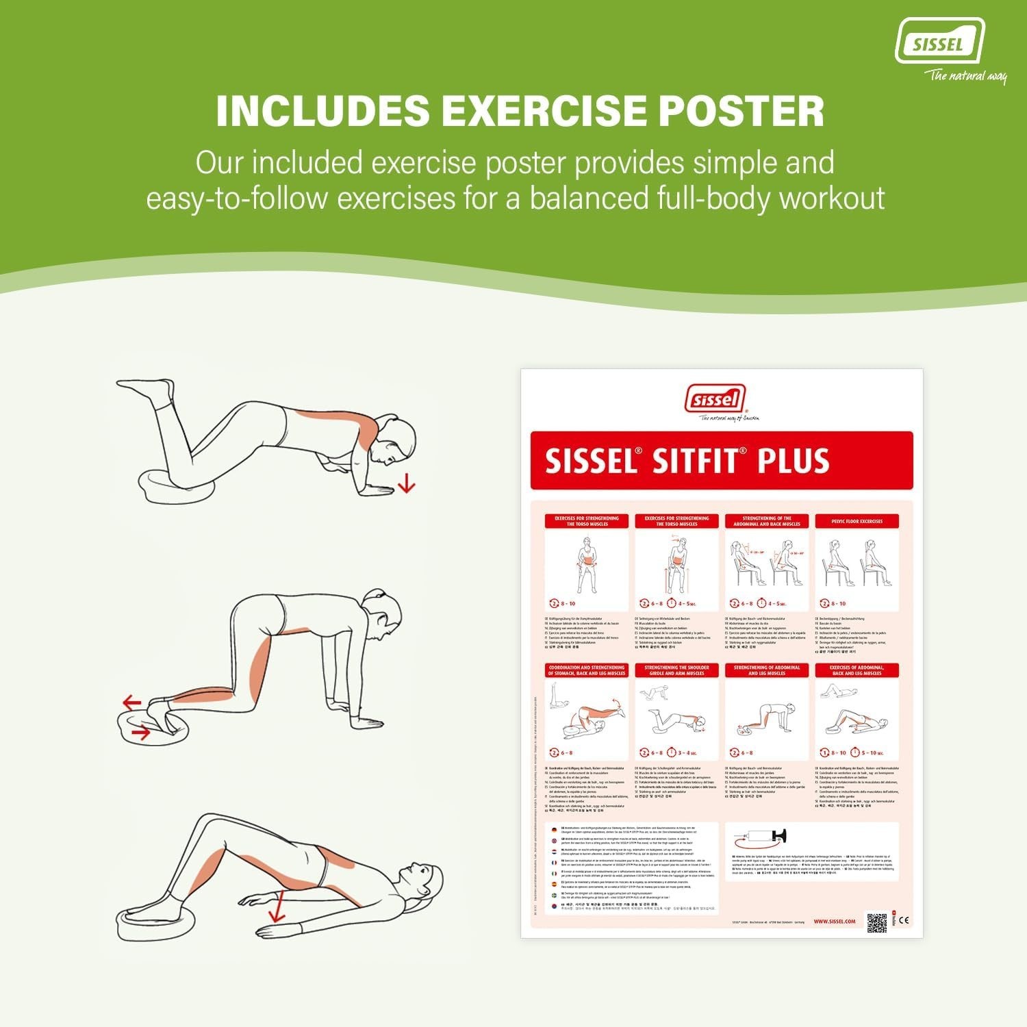 SITFIT 14in Red | Active Sitting & Training | Strengthens Back & Pelvic Floor…