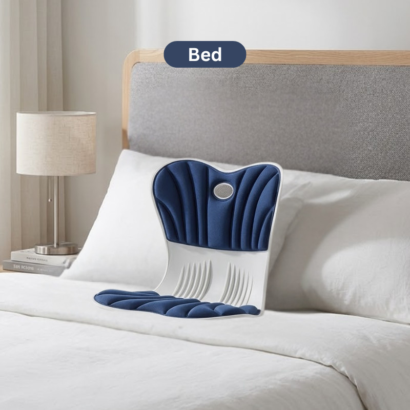 Blue Ergonomic Lumbar Support | Back Support with 6-Region Pressure Reliever