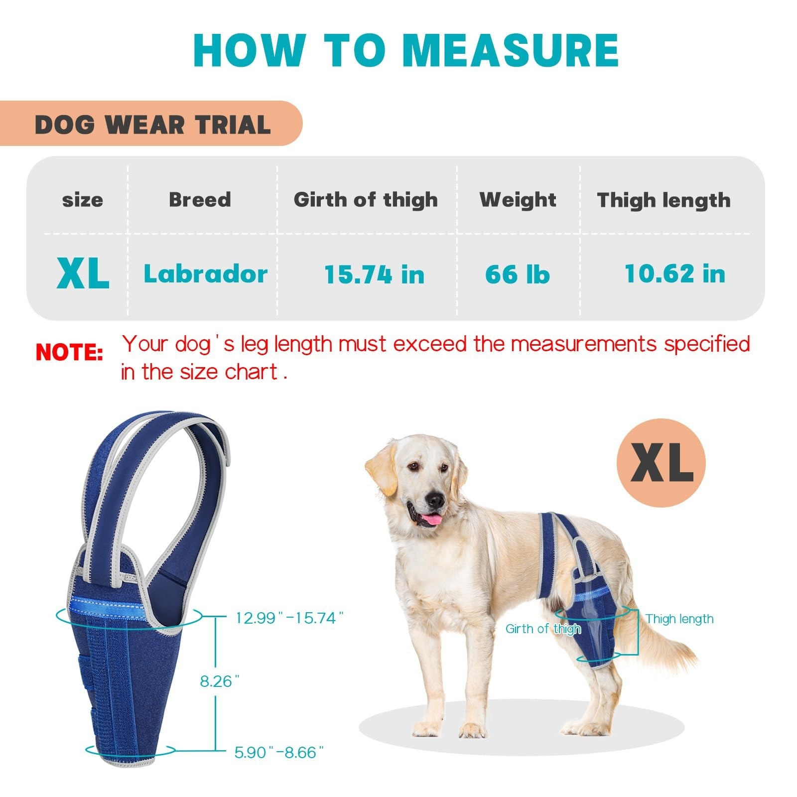 Adjustable Dog Knee Brace for Torn ACL – Support for Hind Leg, Pain Relief, Liga
