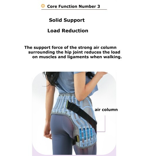 Disk Doctor Hip Joint Pelvis WC605H Hip Joint Pelvis Fixed Support