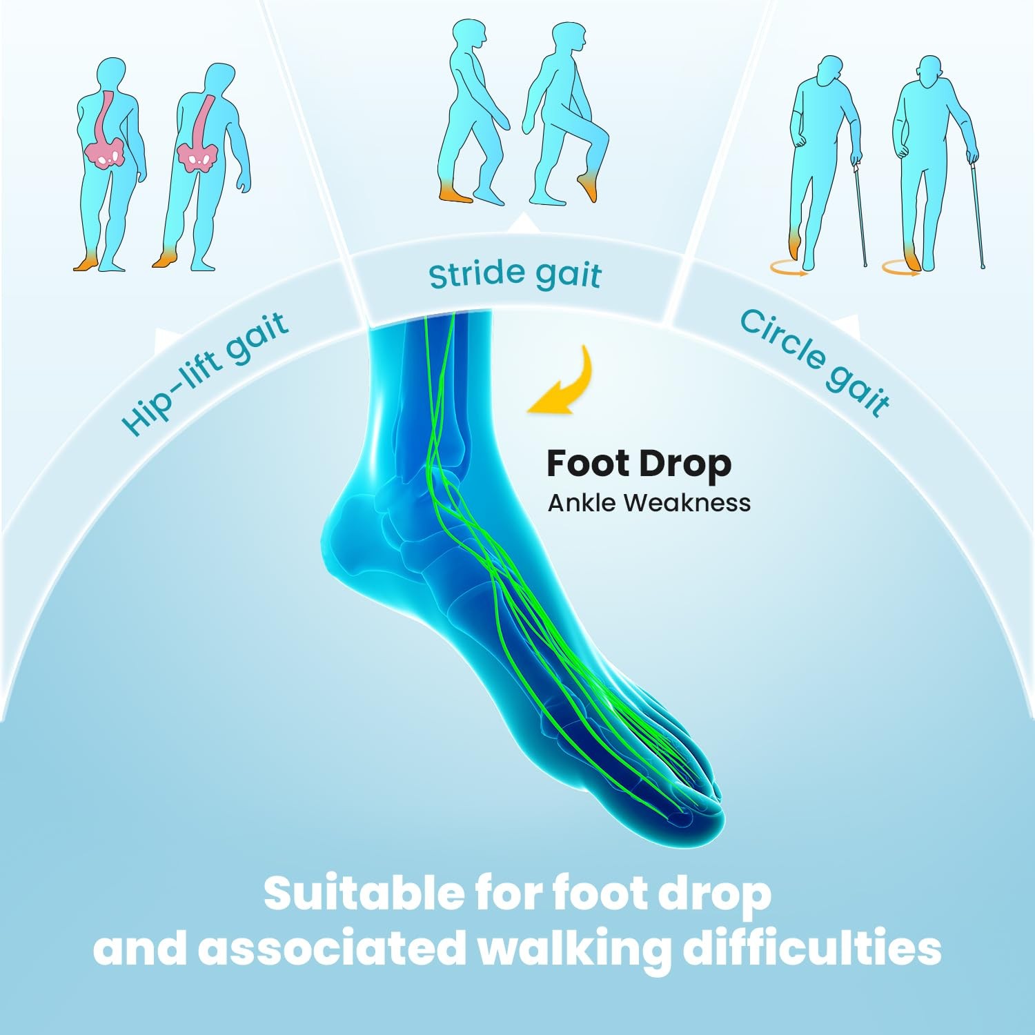 AFO Foot Drop Brace Splint, Adjustable Drop Foot Up Ankle Support for Walking…