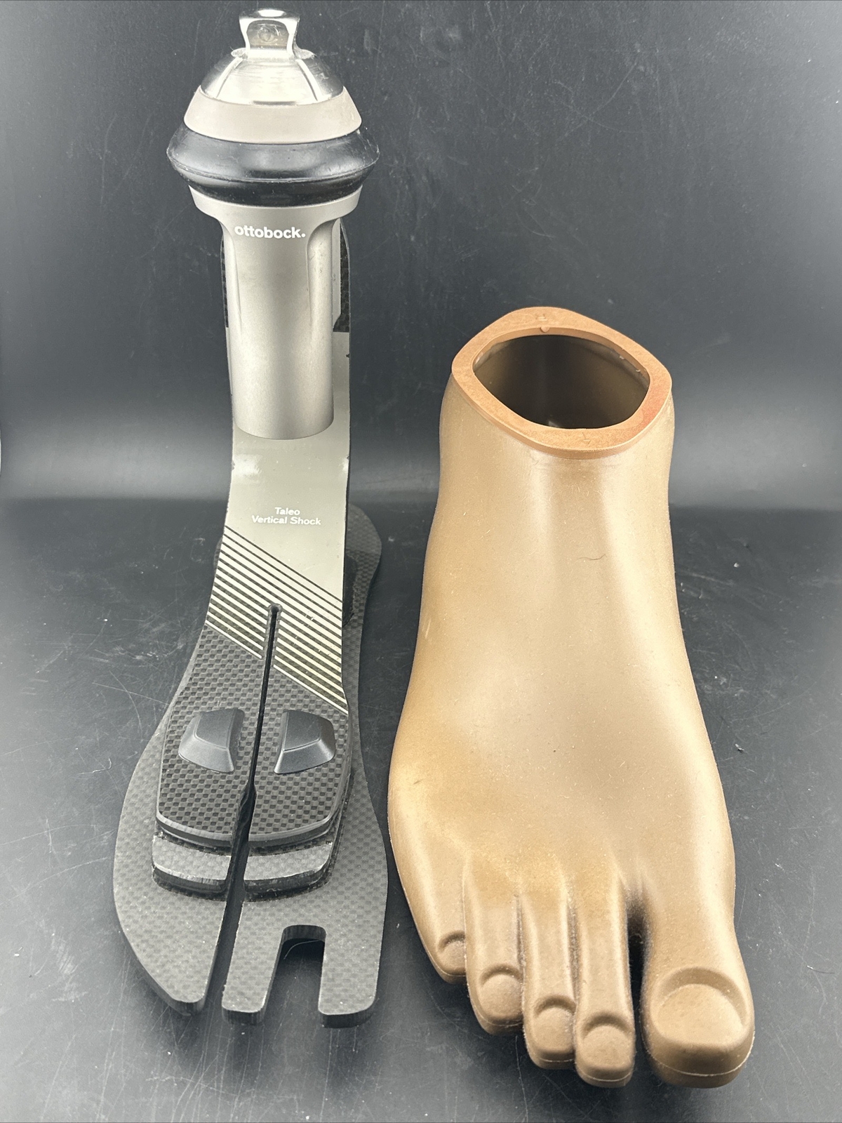 Ottobock Otto Bock Taleo Vertical Prosthetic Foot. 1C51. Perfect. Size 30