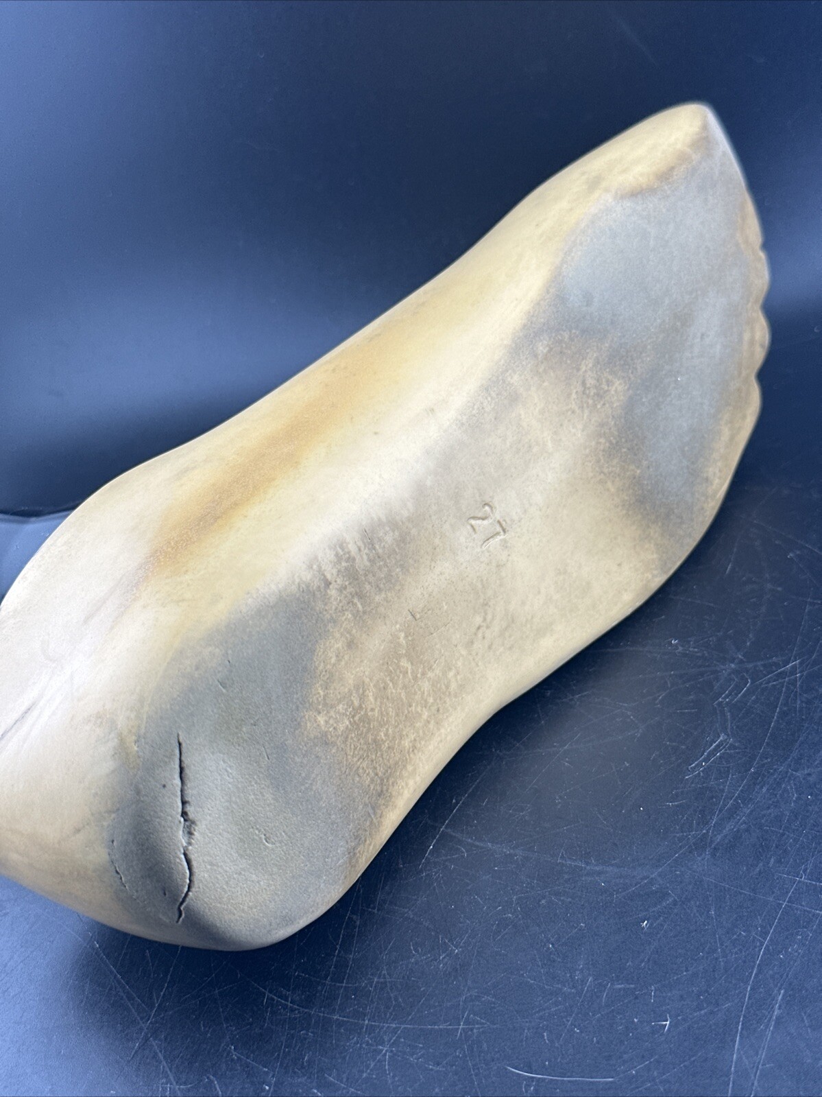 Endolite Blatchford Multiflex Multi-flex Style Prosthetic Foot.