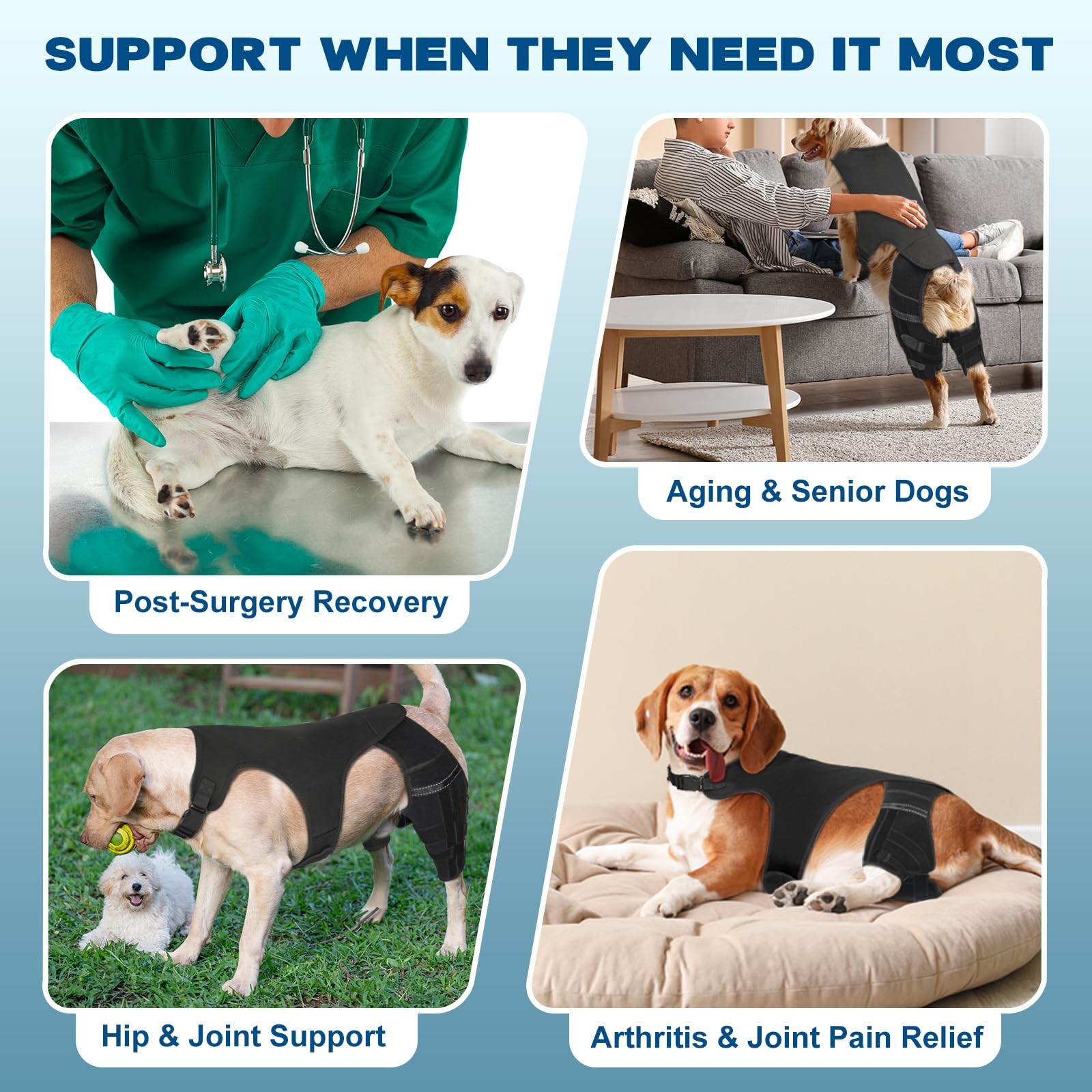 Pawfun Dog Knee Brace Hind Leg Support S