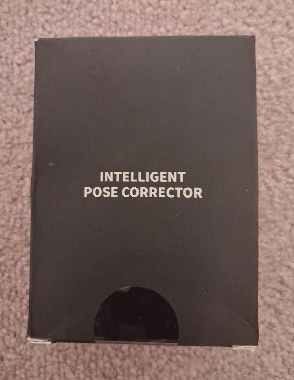 Intelligent Pose Corrector – Hanging Back Posture Correction