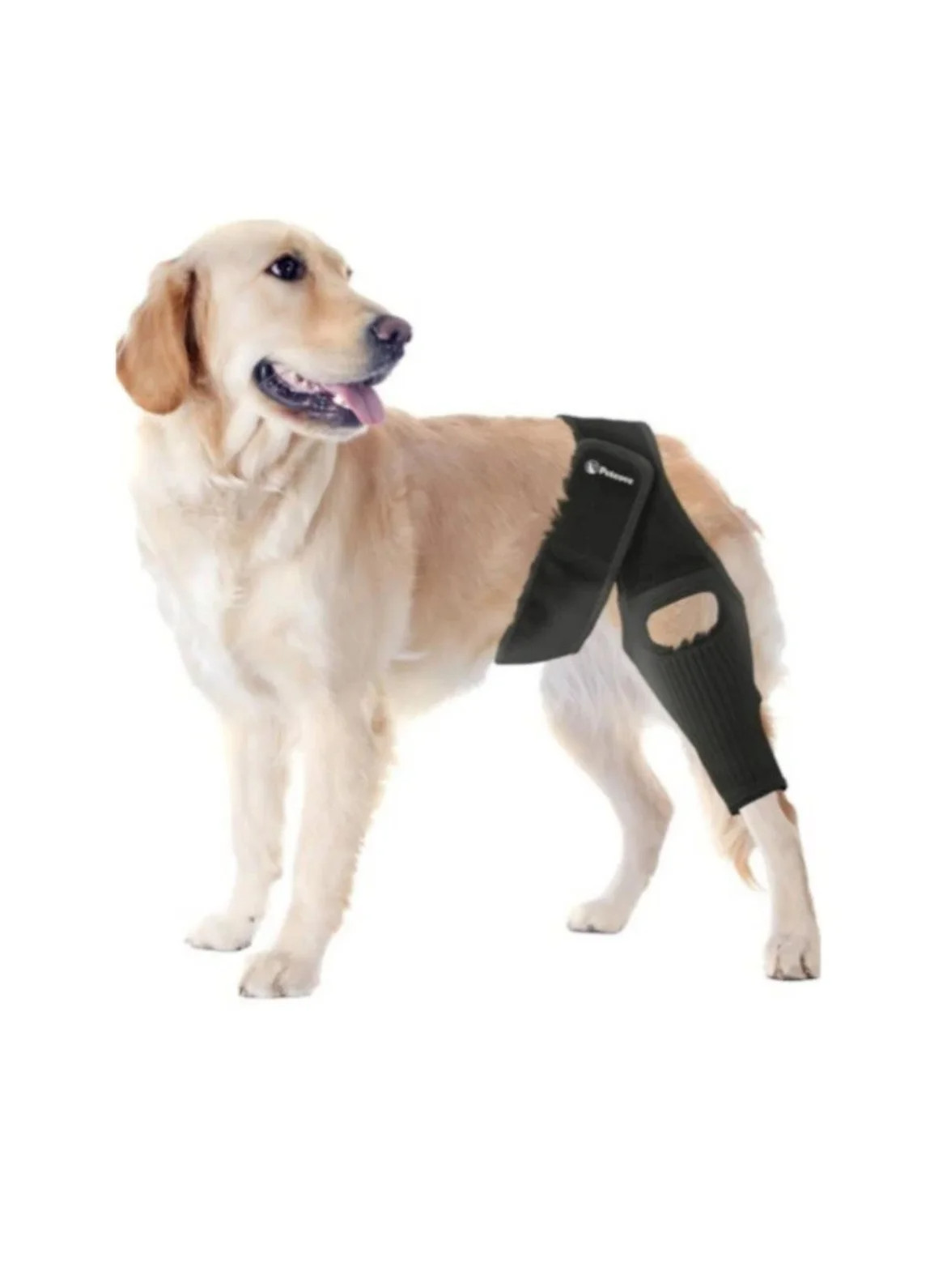 Petcove Dog Knee Brace Size Small Hind Leg Support for Torn ACL CCL Injury New
