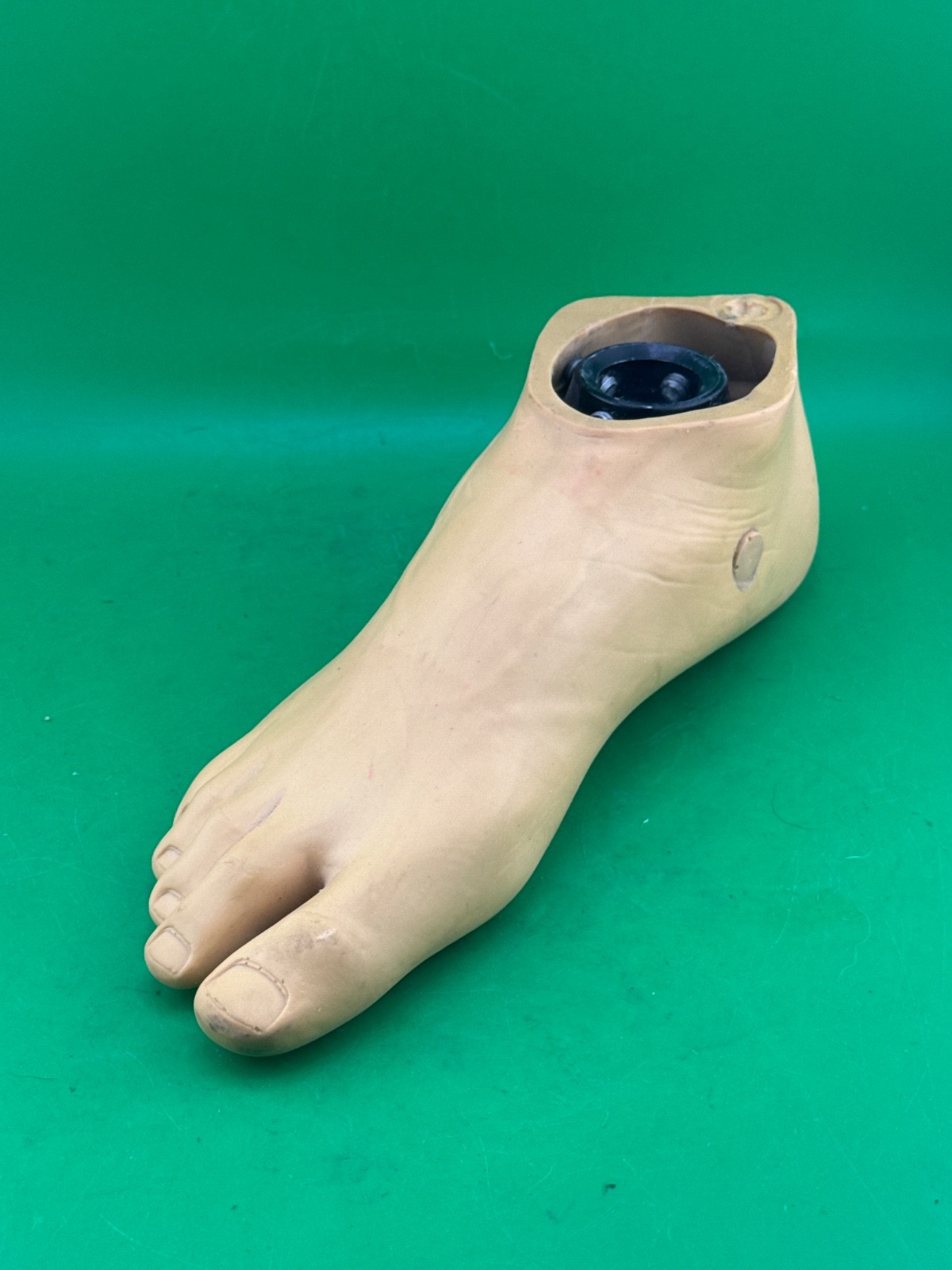 Trulife kinetic single axis prosthetic foot. Right. Size 24. Category 2.