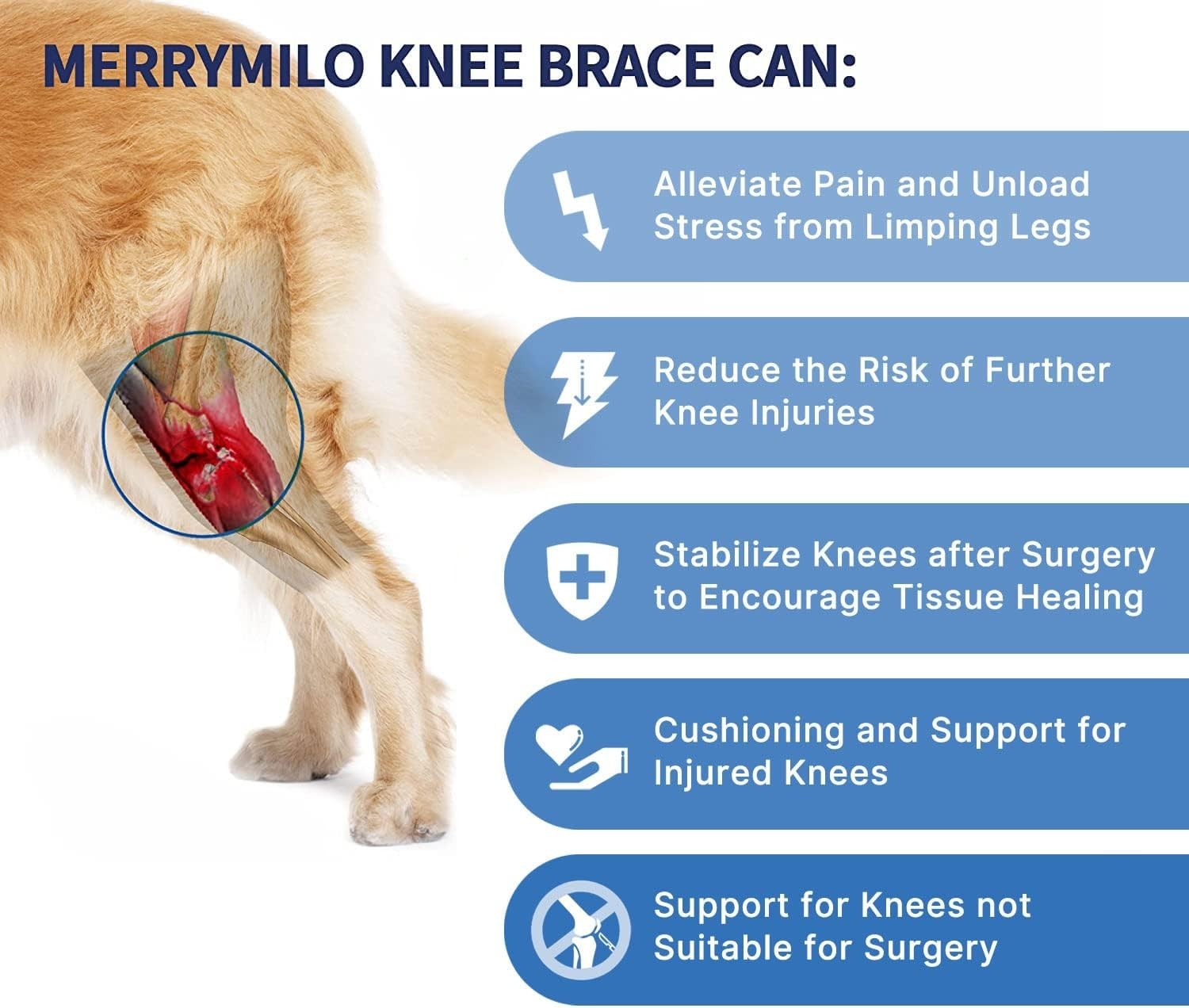 Dog Knee Brace for Torn ACL Hind Leg – Black, Large