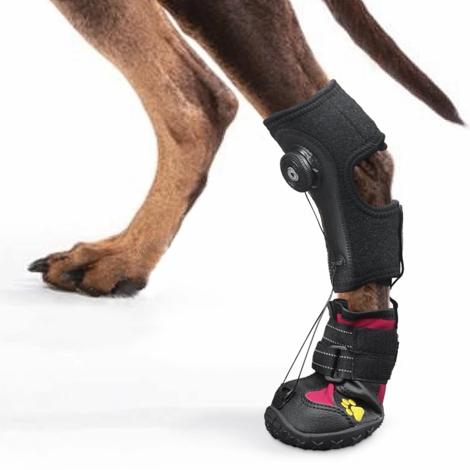 Drop Foot Brace with Reel(No Knuckling Boot Brace) for Dog – Corrective Dog Shoe