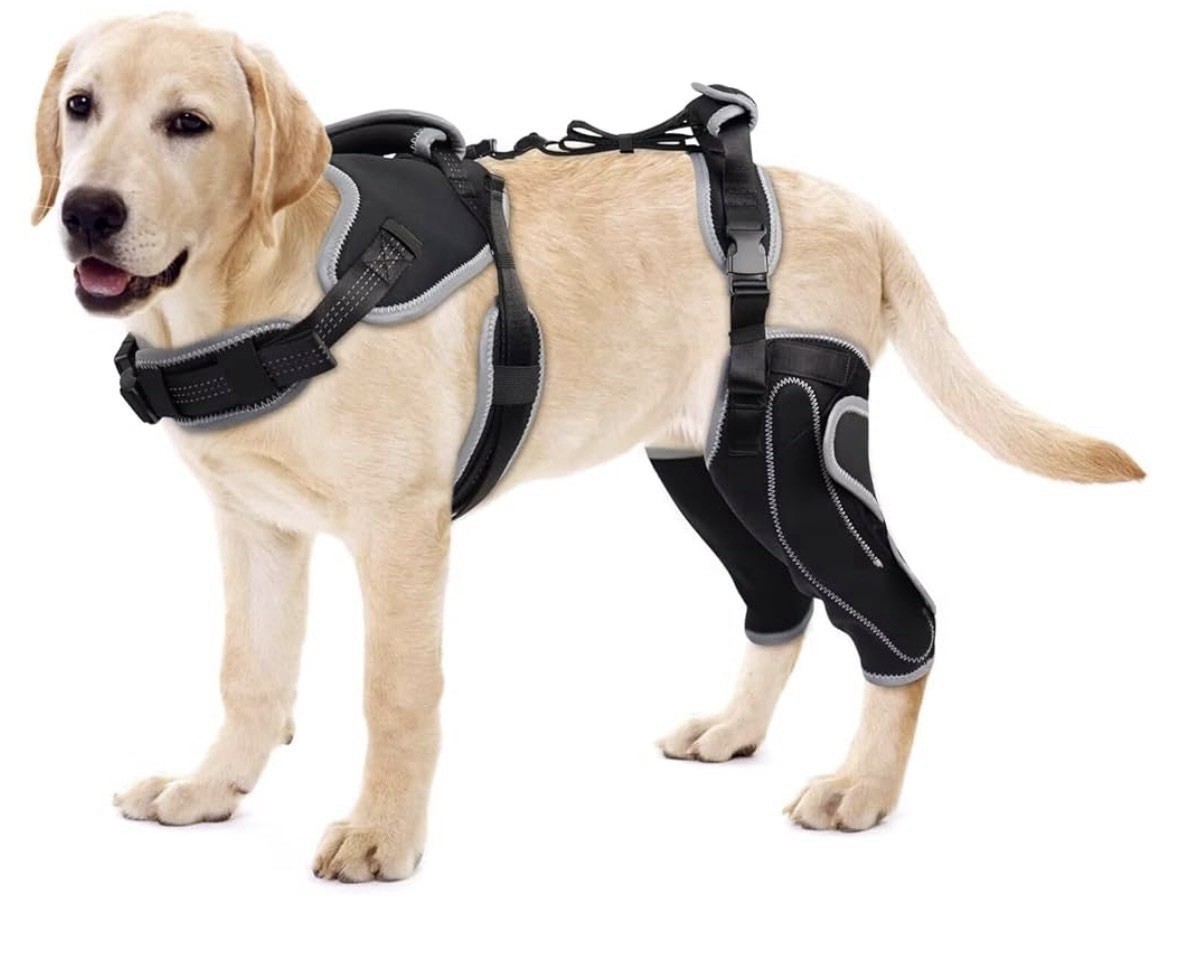 LISPOO Dog Knee Brace for Torn ACL/CCL Hind Leg Adjustable Support Both Legs XL