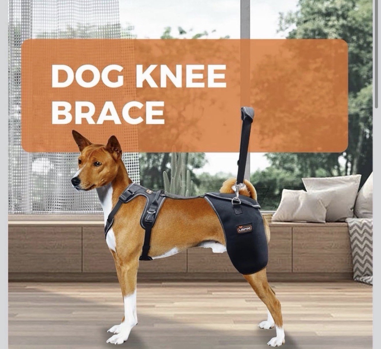 Extra Large LISPOO Dog Hip Support Brace Adjustable Dog Leg Brace for Hips Black