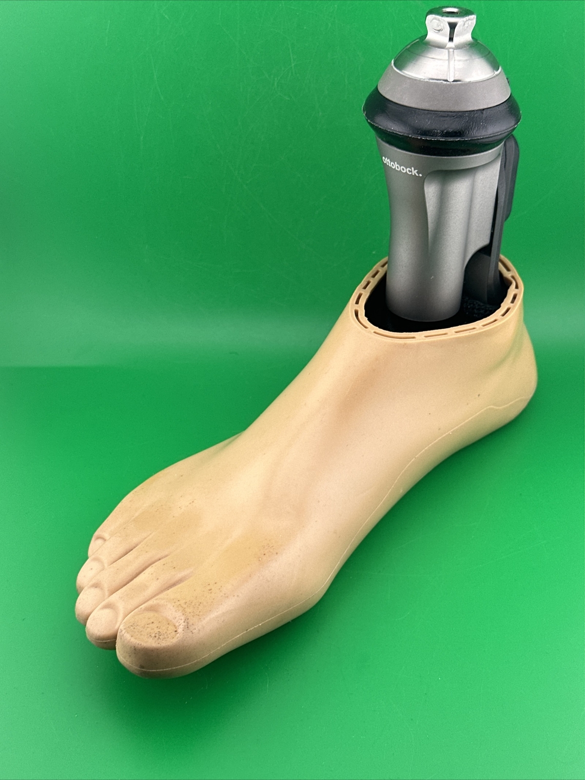 Ottobock Otto Bock Taleo Vertical Prosthetic Foot. 1C51 Prosthetic Foot
