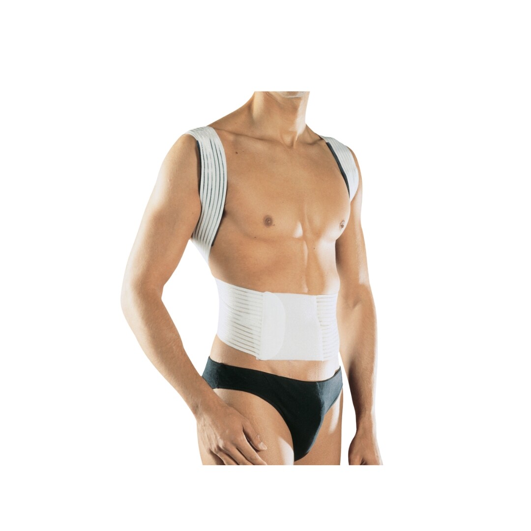 Pavis Posture Corrector Orthopedic Back Support