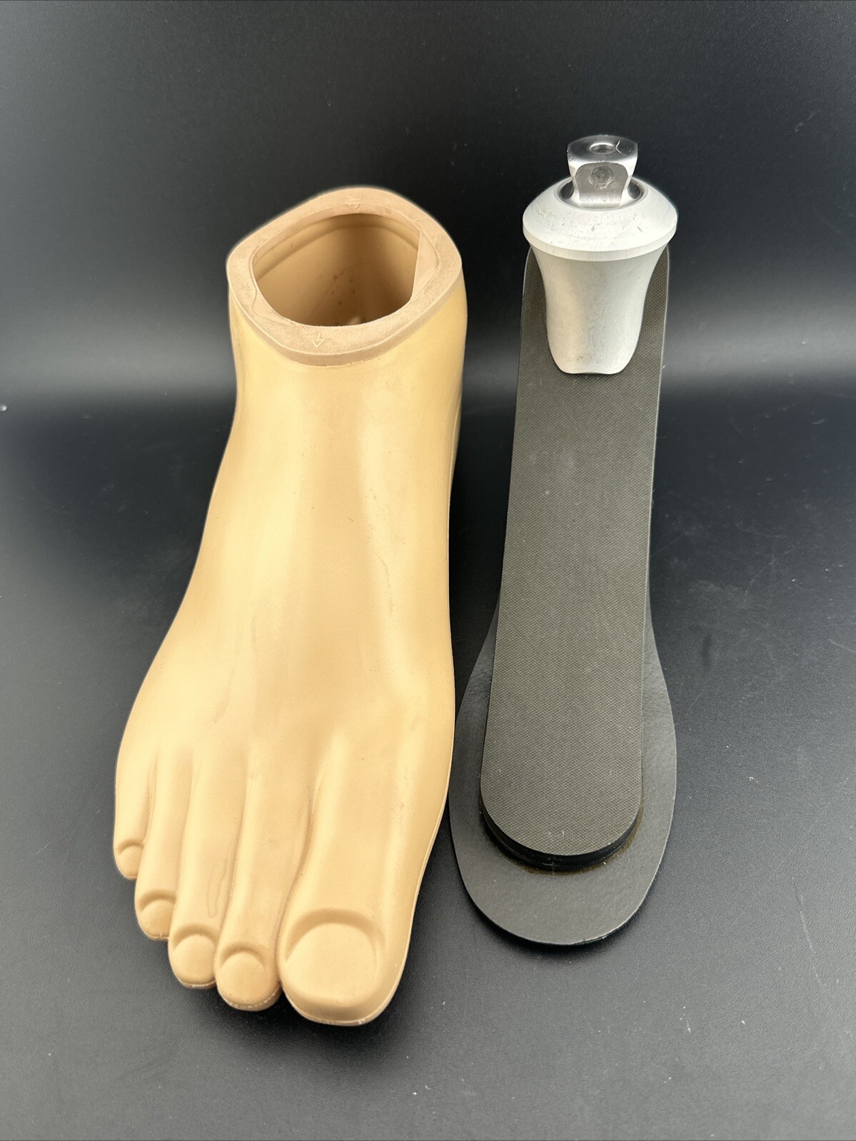 OTTOBOCK Otto Bock Trias Prosthetic Foot Size 24. Category 1 1c30 Right Perfect
