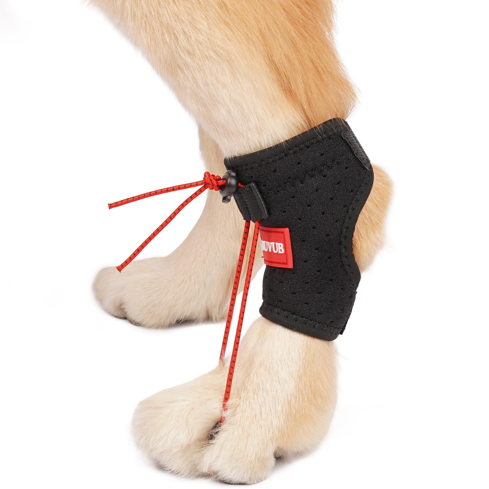 BUVUB Dog Knuckling Brace Small 1PCS