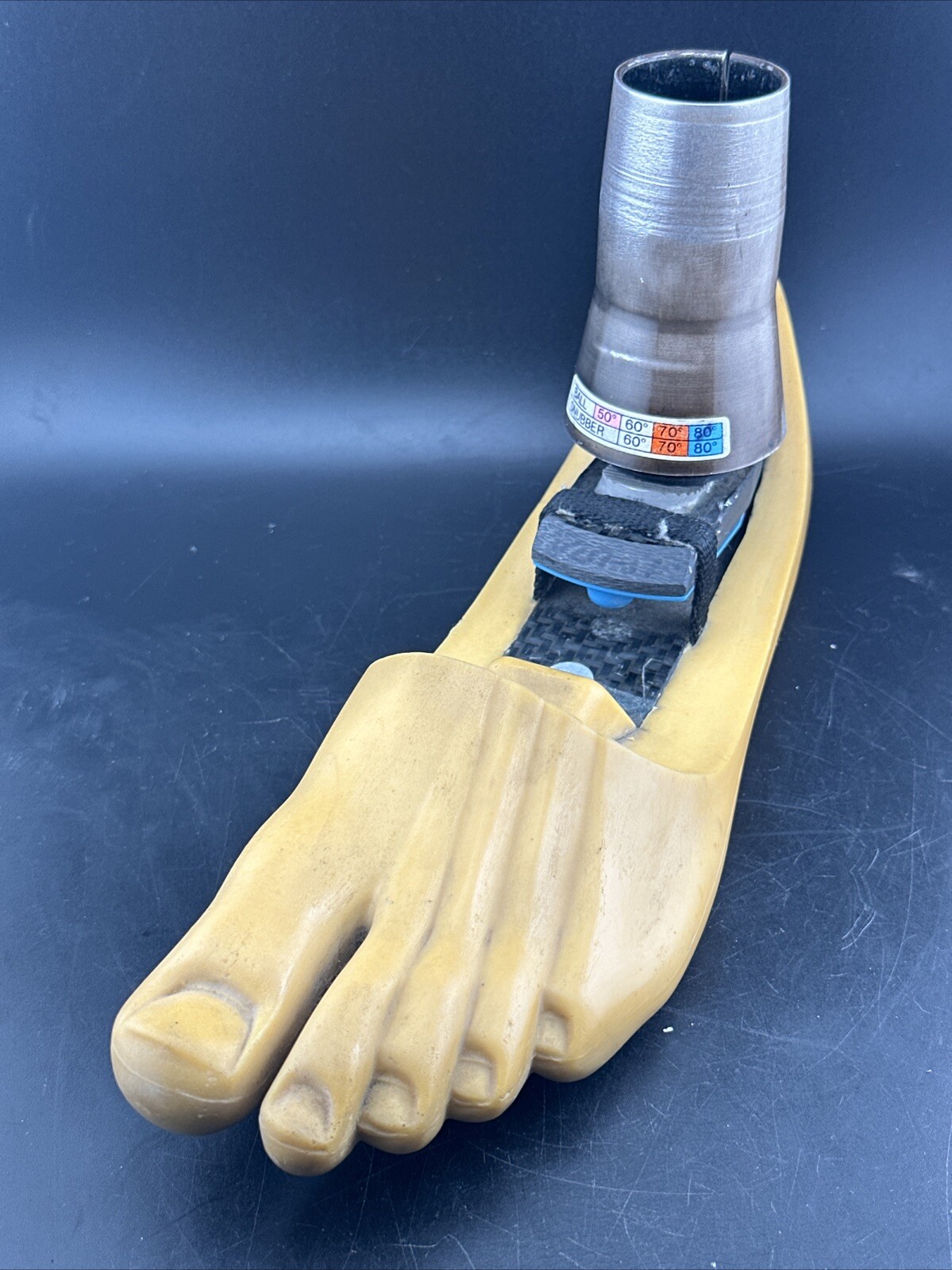 Endolite Blatchford Multiflex Multi Flex Size 29 DR-2 Prosthetic Foot