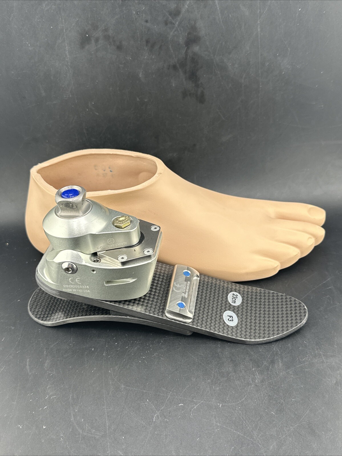College Park Odyssey K3 Hydraulic Ankle Prosthetic Foot, Right Shell. Size 23.