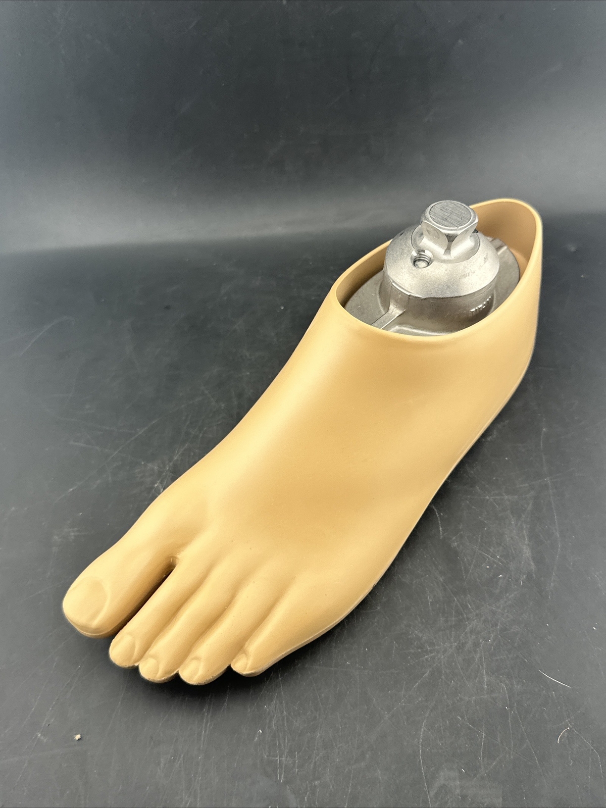 OTTOBOCK Otto Bock Greissinger Prosthetic Foot. Left Size 24 1A30 Perfect