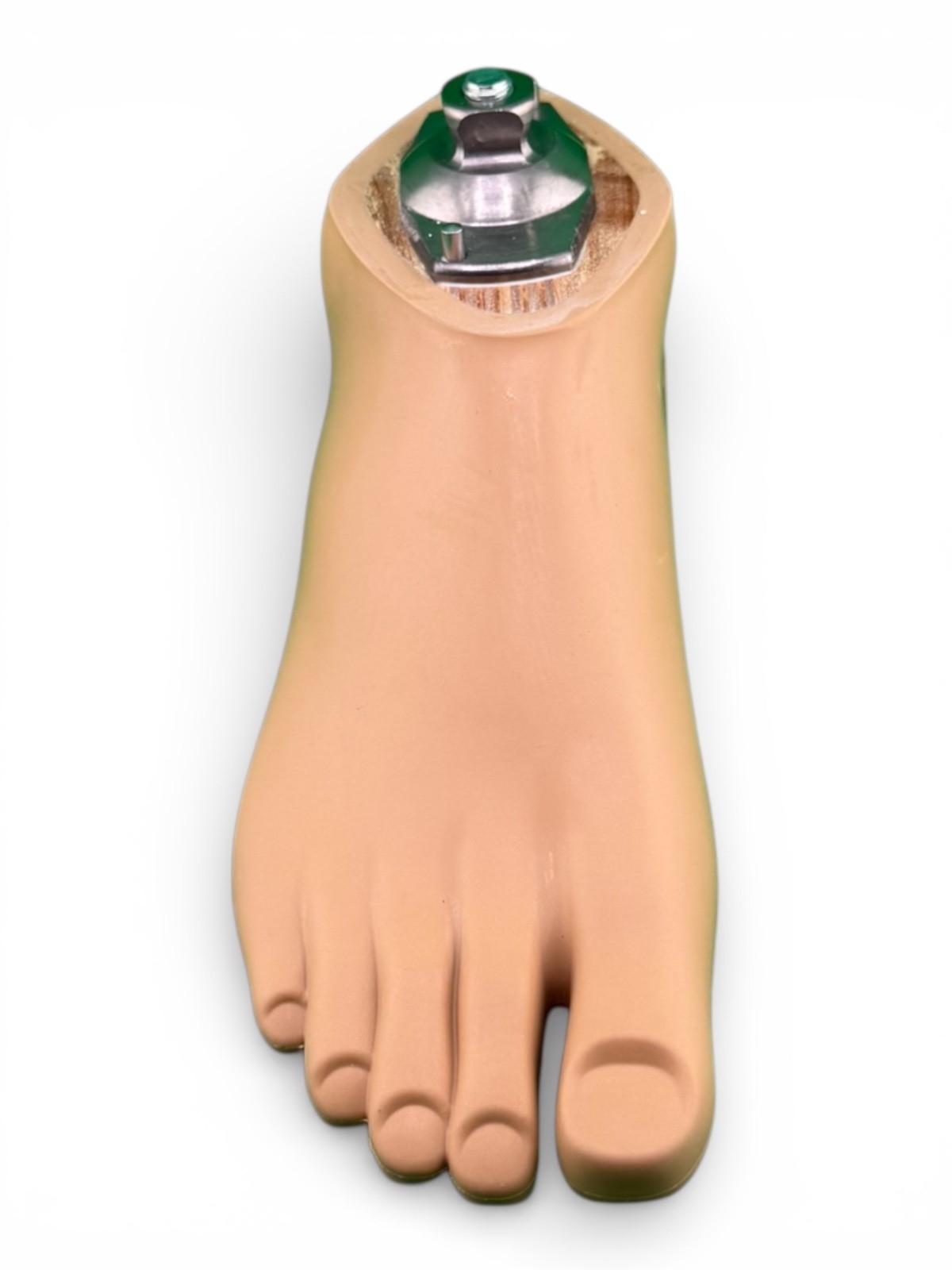 OTTOBOCK Otto Bock 1WR95 right Size 24 water Prosthetic Foot. Perfect cond