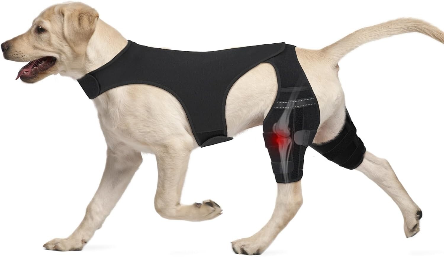 XXL Dog Knee Brace – Hind Leg ACL Support for Patella, Hip Dysplasia, Injuries