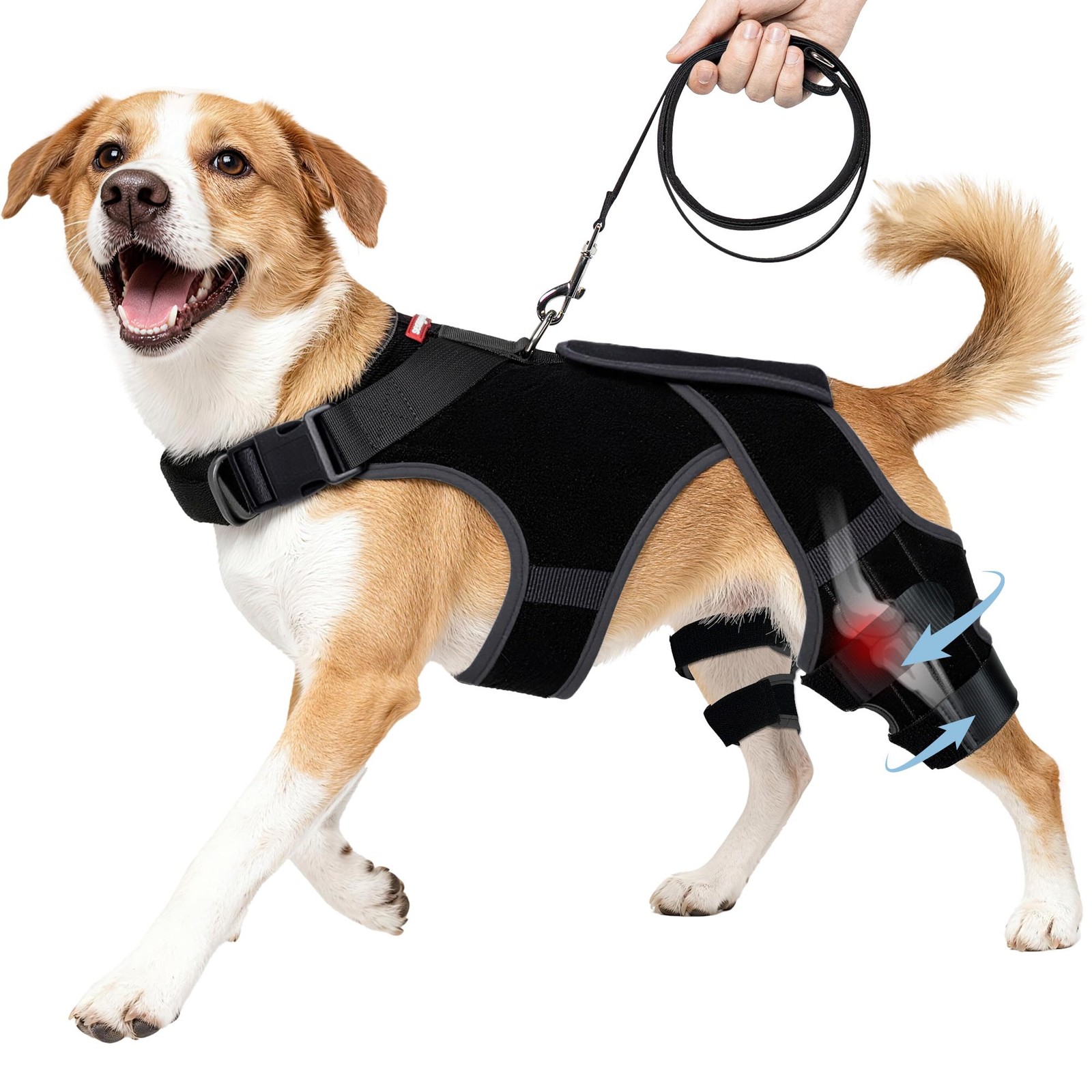 seangonna Dog Knee Brace M