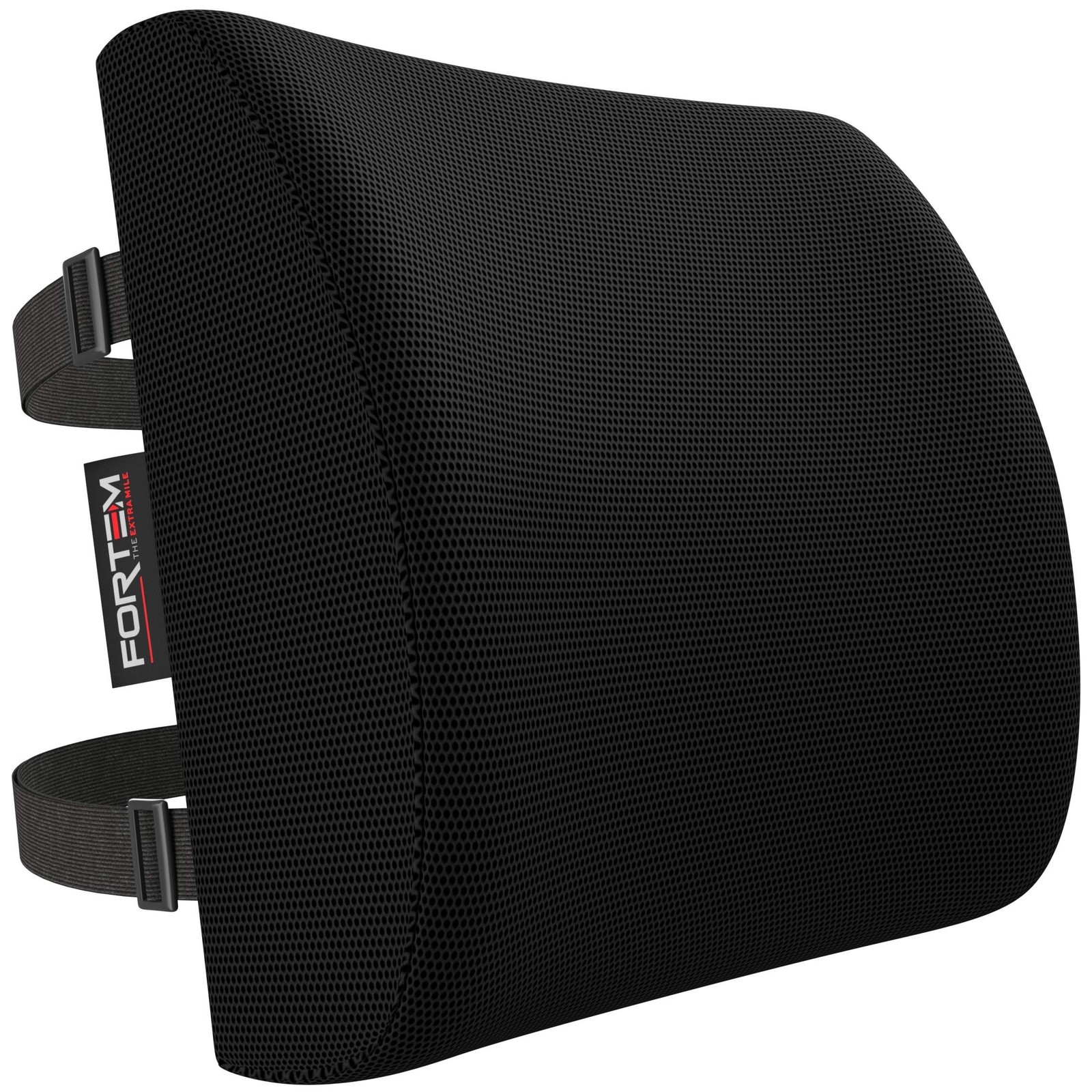 FORTEM Lumbar Support Pillow for Office Chair, Lumbar Support Pillow for Car,…