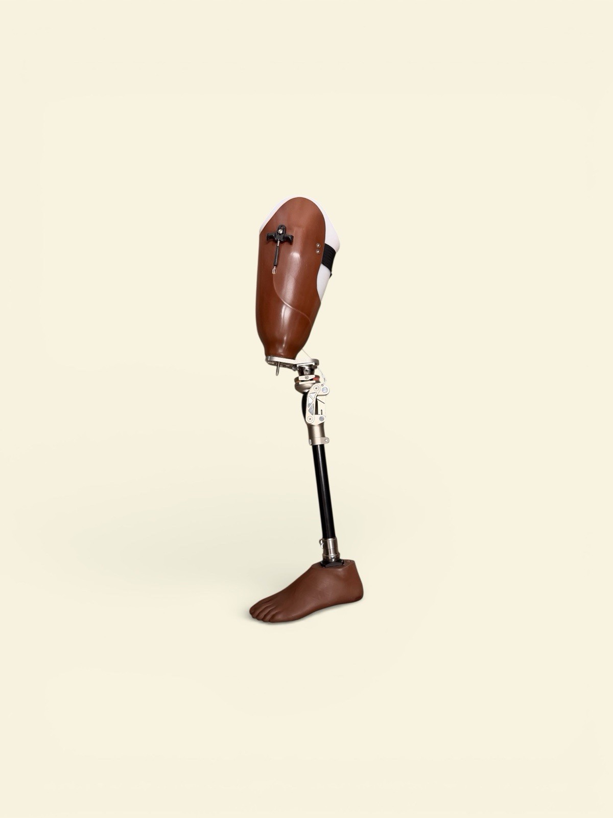 Prosthetic Leg Ossur Bulldog Left Leg&Foot Build Balance Knee OFM1 Above Knee