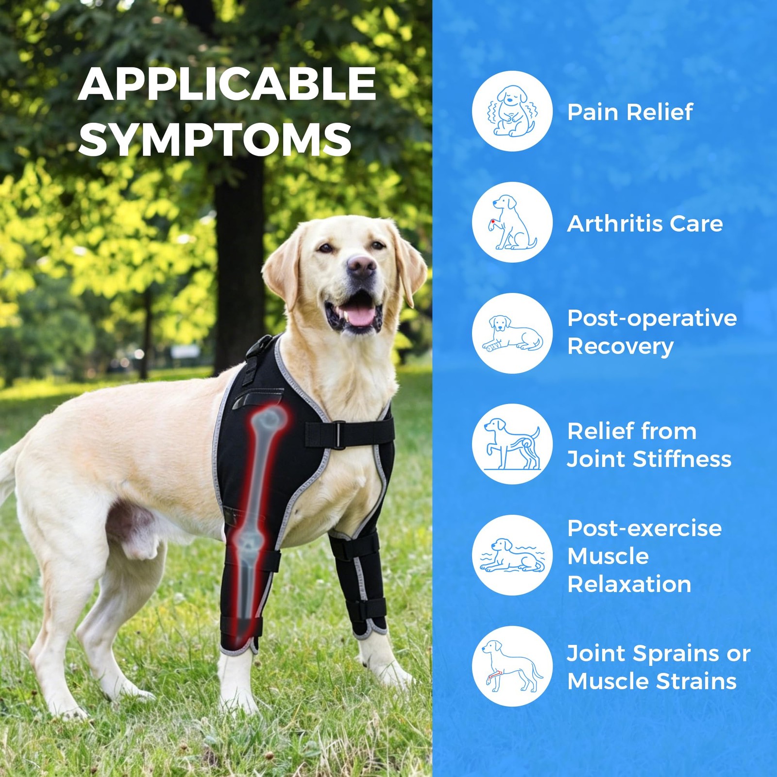 KISFLY Dog Elbow Brace for Arthritis with Gel Pack, Medium | Hot and cold the…