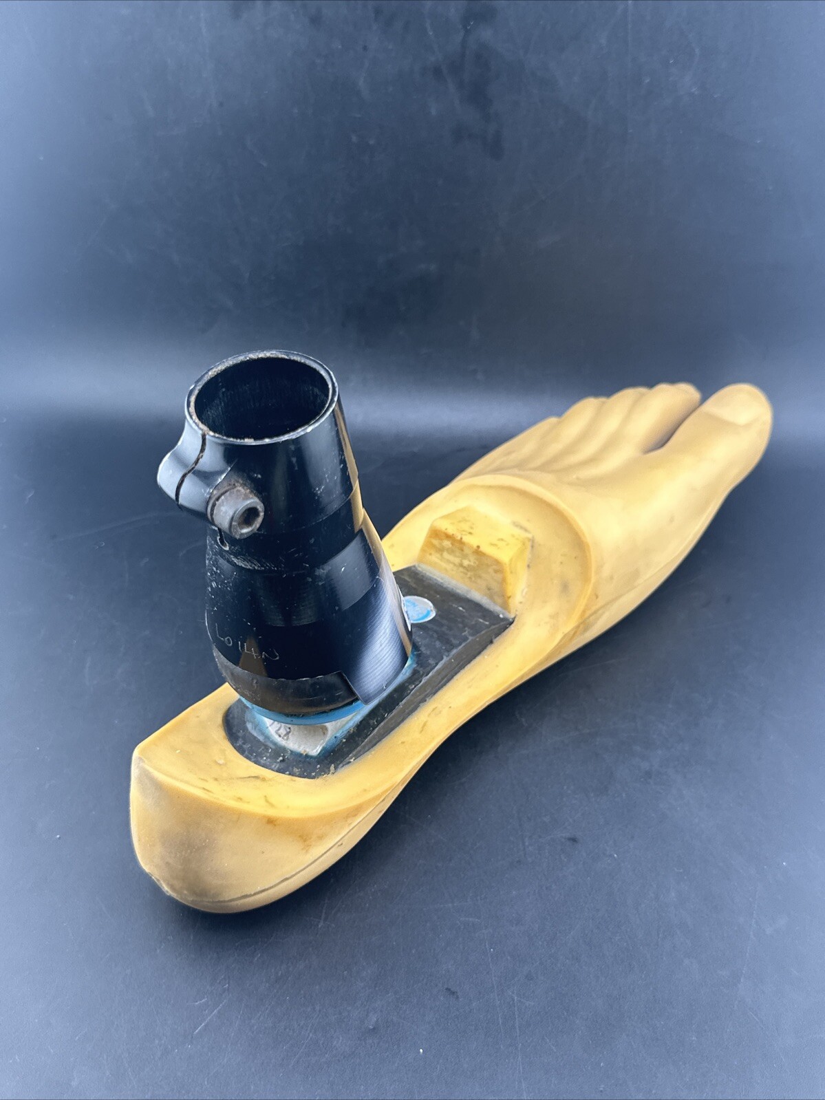 Blatchford Endolite Multiflex Multi Flex Prosthetic Foot. Left Size 26 Good Cond