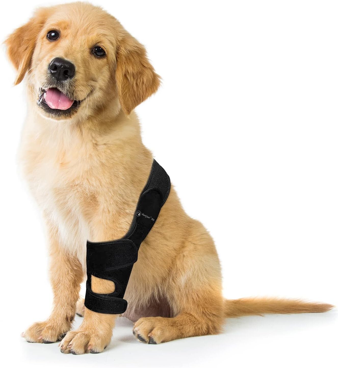 Knee Brace Dog ACL Side Stabilizers Knee Cap Dislocation Arthritis XL