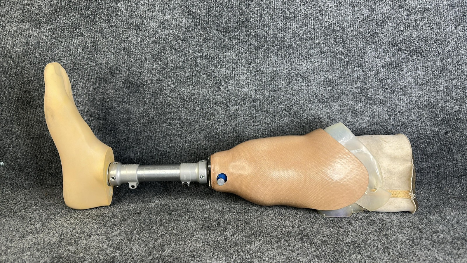 Ottobock Titan Right Below Knee Prosthetic Leg Size 28 Used