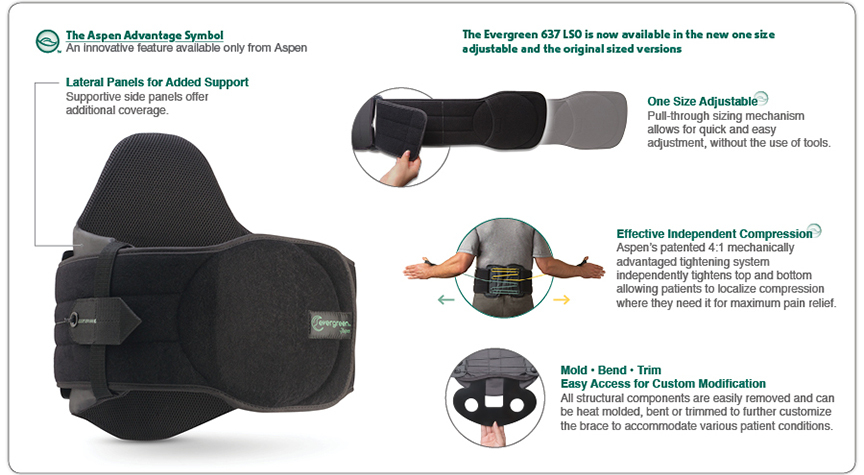 Aspen Medical Evergreen Lumbar 637 Support Back Brace Black Adjustable L0637 New