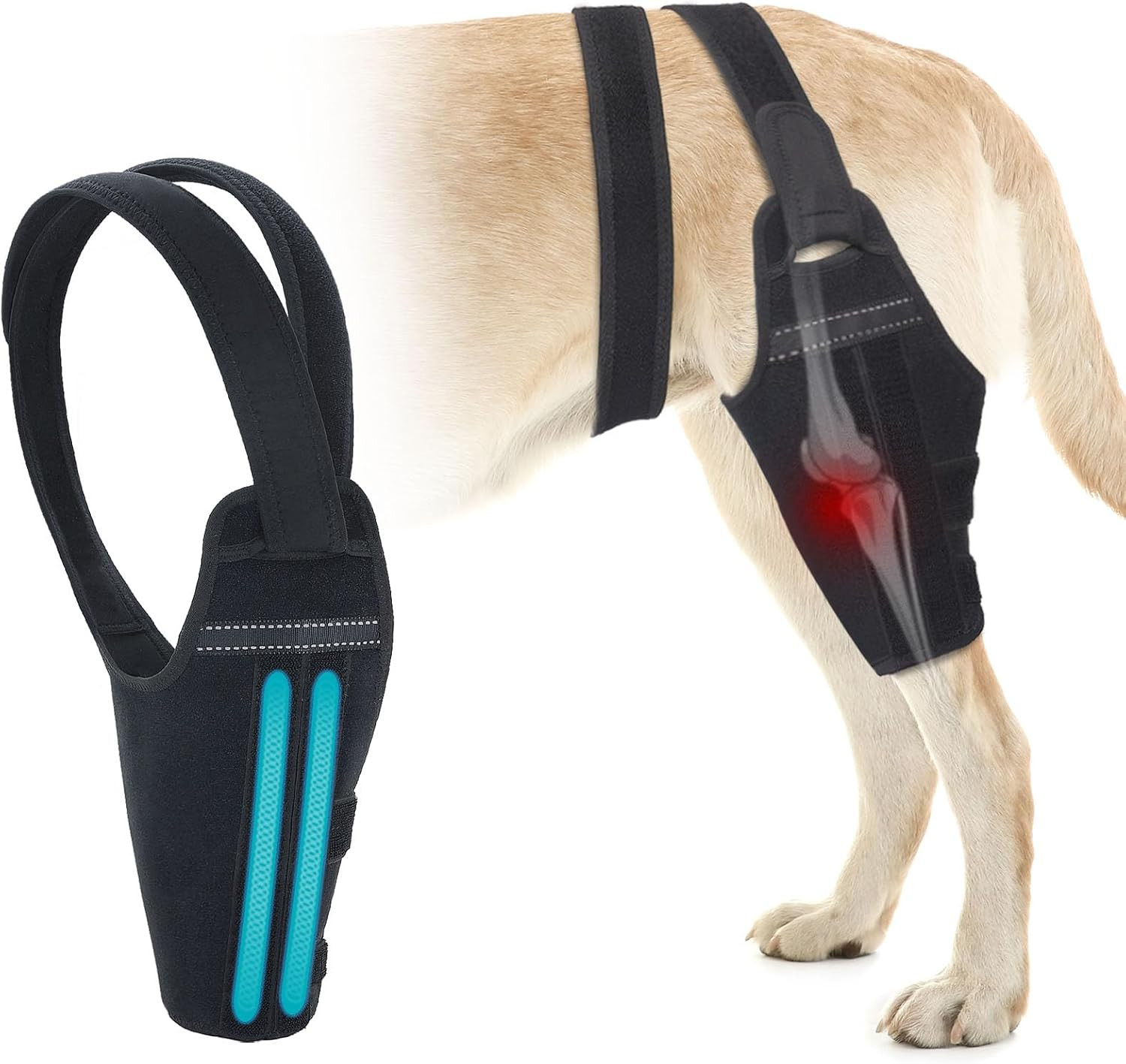 Dog Knee Brace for Torn ACL Hind Leg – Support Dog Leg Brace for Back Leg with 2