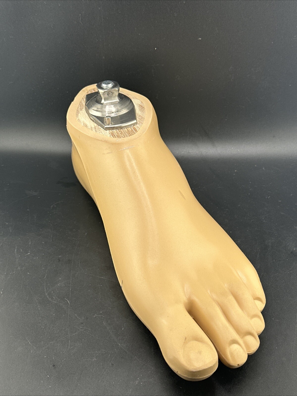 OTTOBOCK Otto Bock 1D10 Sach Prosthetic Foot. Size 28cm. Left Foot