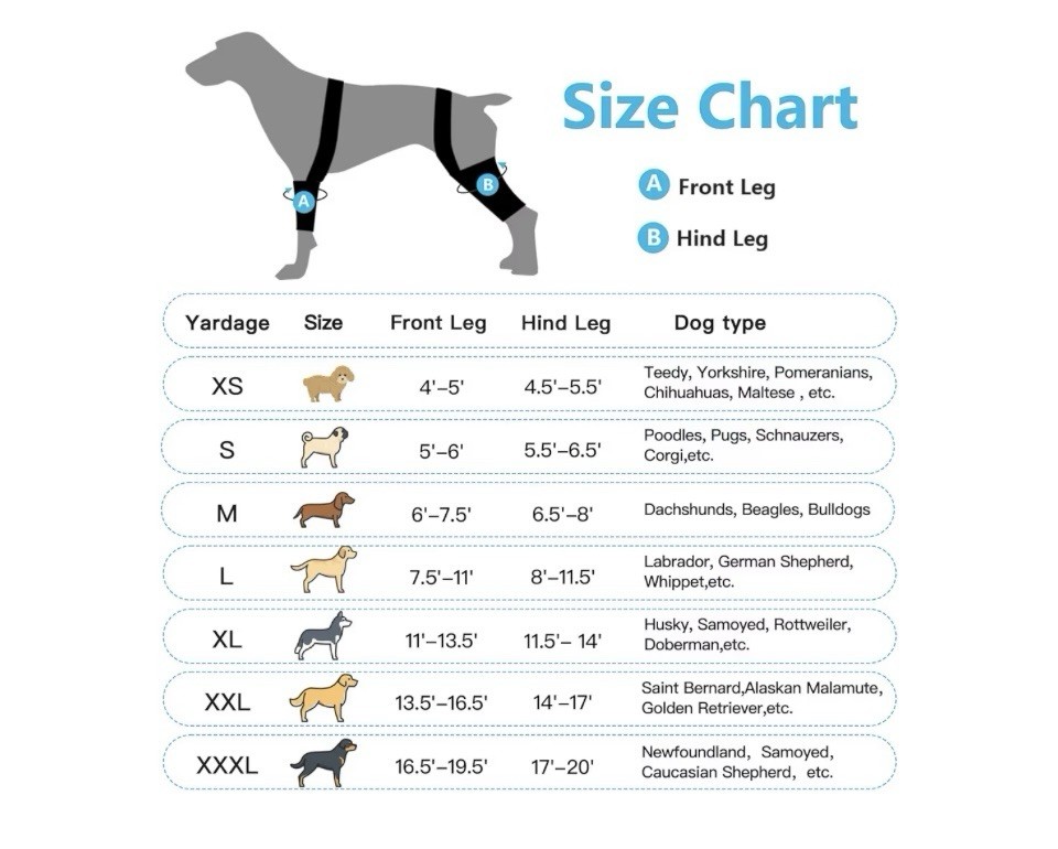 NEW BaoGuai Pet Knee Brace for Dogs Hind Leg ACL with Side Stabilizers XL