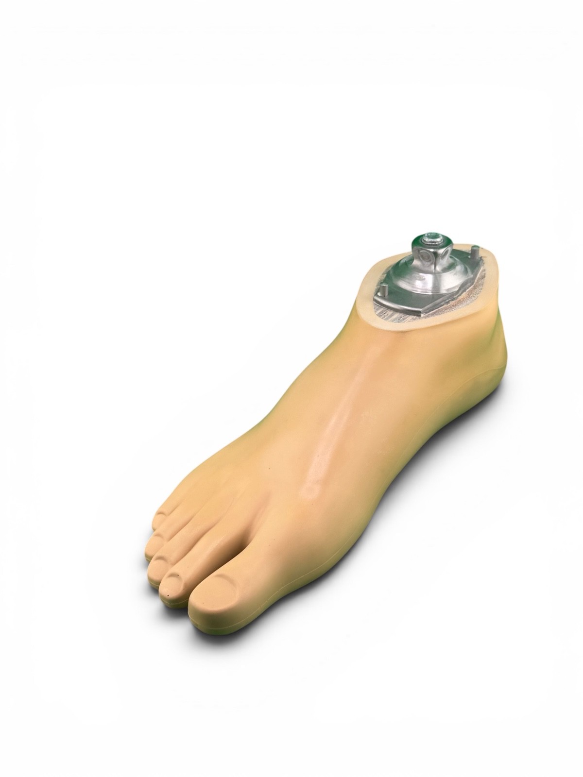 OTTOBOCK Otto Bock 1WR95 Water Prosthetic Foot. Size 25. Right Foot. Excellent
