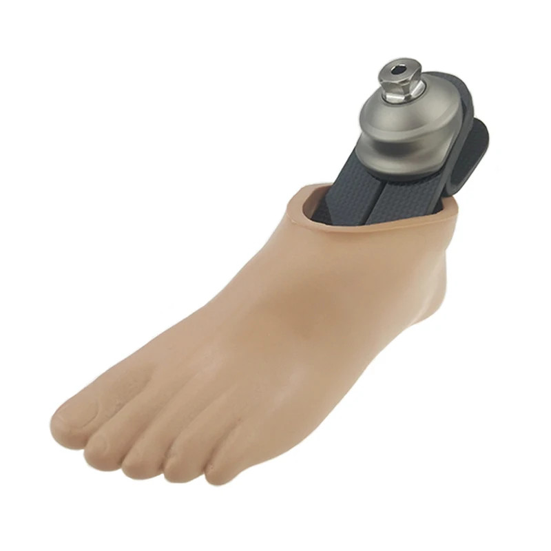 Carbon Fiber Prosthetic Foot Low Ankle 22-27cm with Foot Shell & Sock