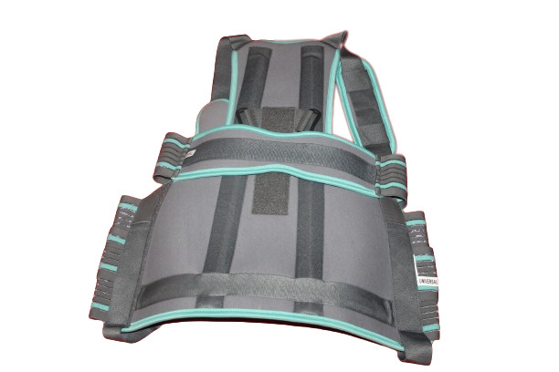 TAYLOR’S BRACE Body Belts & Brace Orthopedic Rehabilitation Aids S/M/L Pack of 3