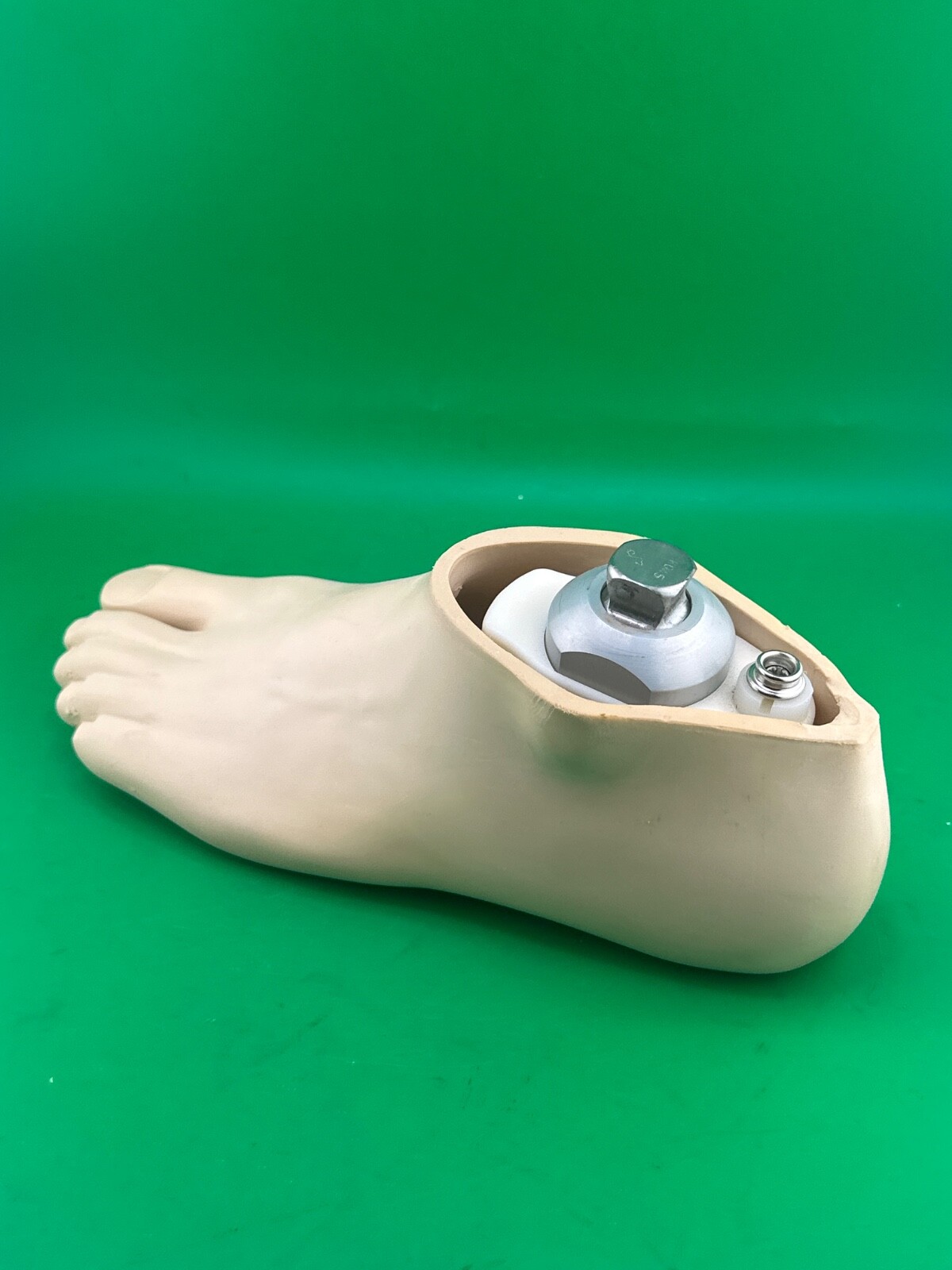 Blatchford Endolite senior Prosthetic Foot. Left. Size 24. Great condition
