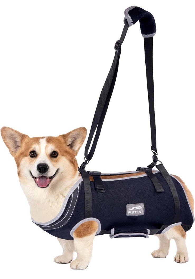 Furtent Dog Lift Harness with Handle – Dog Support Harness Large