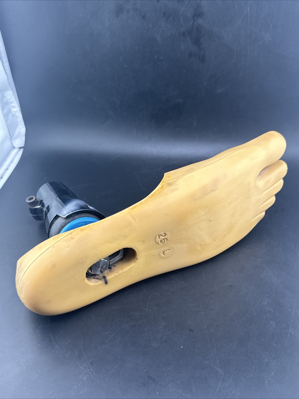 Blatchford Endolite Multiflex Multi Flex Prosthetic Foot. Left Size 26 Good Cond