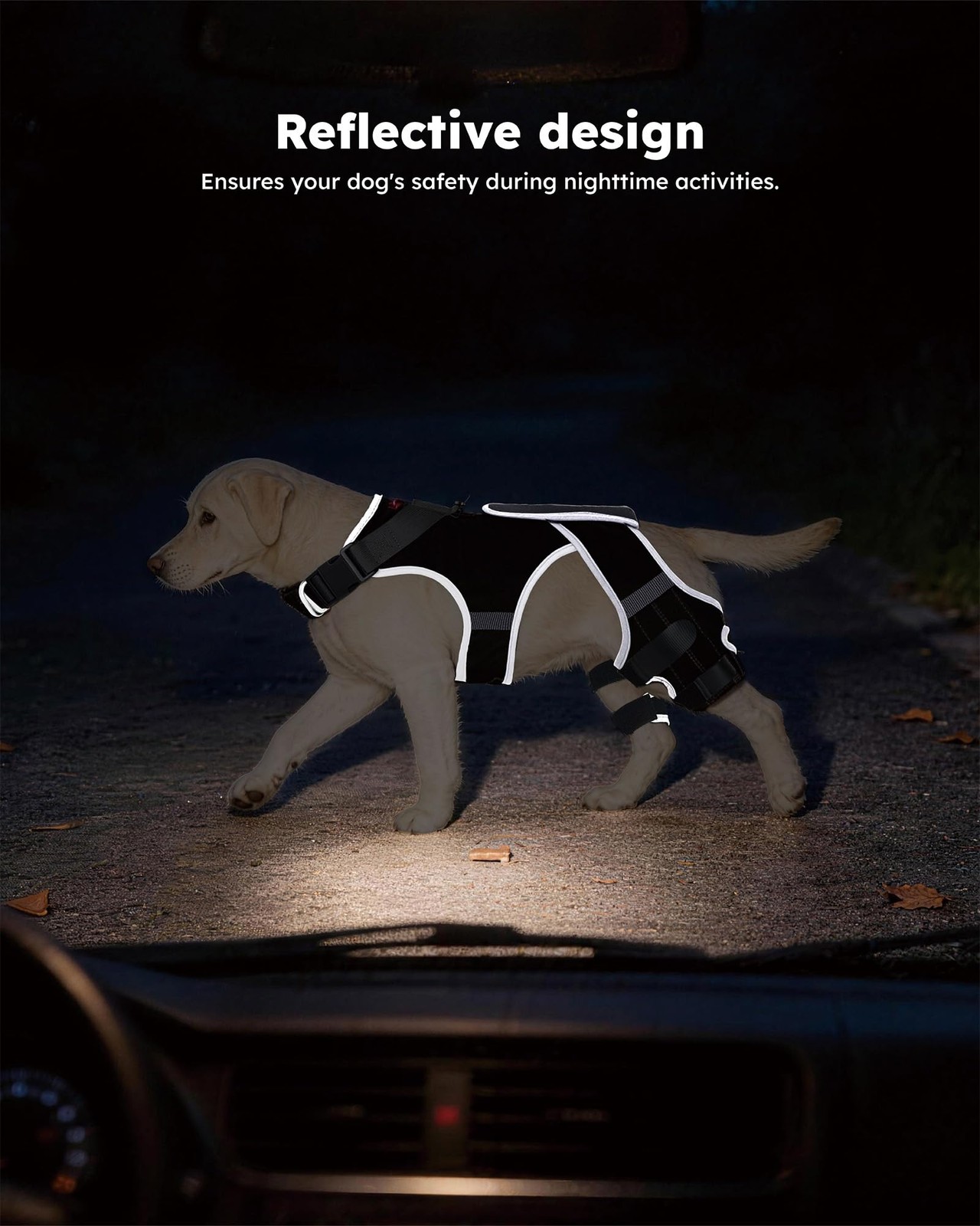 seangonna Dog Knee Brace M