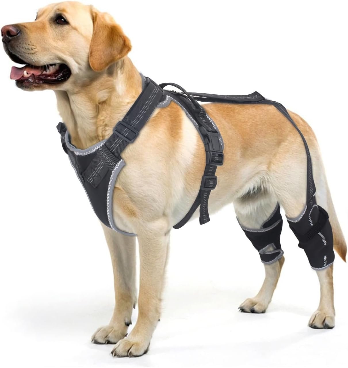 Dog Knee Brace for Torn ACL & Hind Leg Support with Side Stabilizers– Adjustable