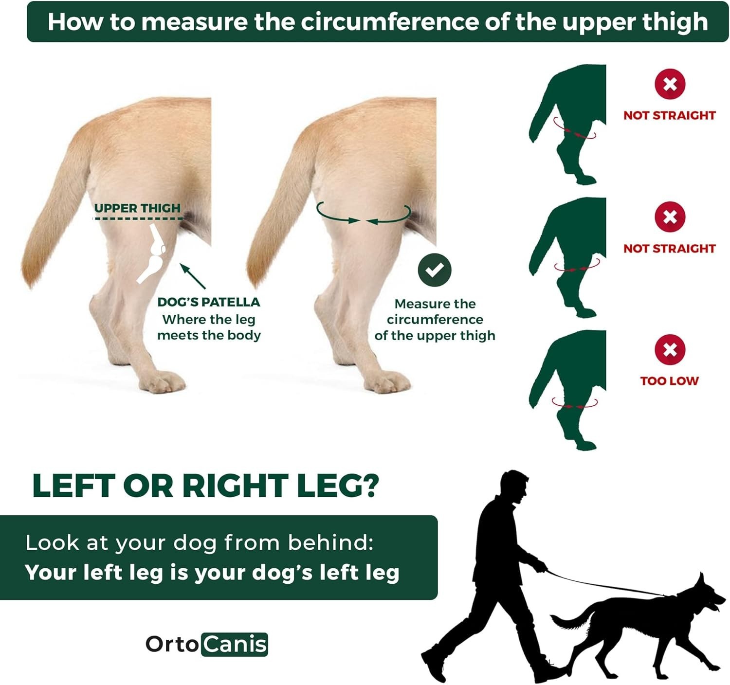 Medium Neoprene Dog Knee Brace – Eases Swelling, Supports Post-Surgery Recovery