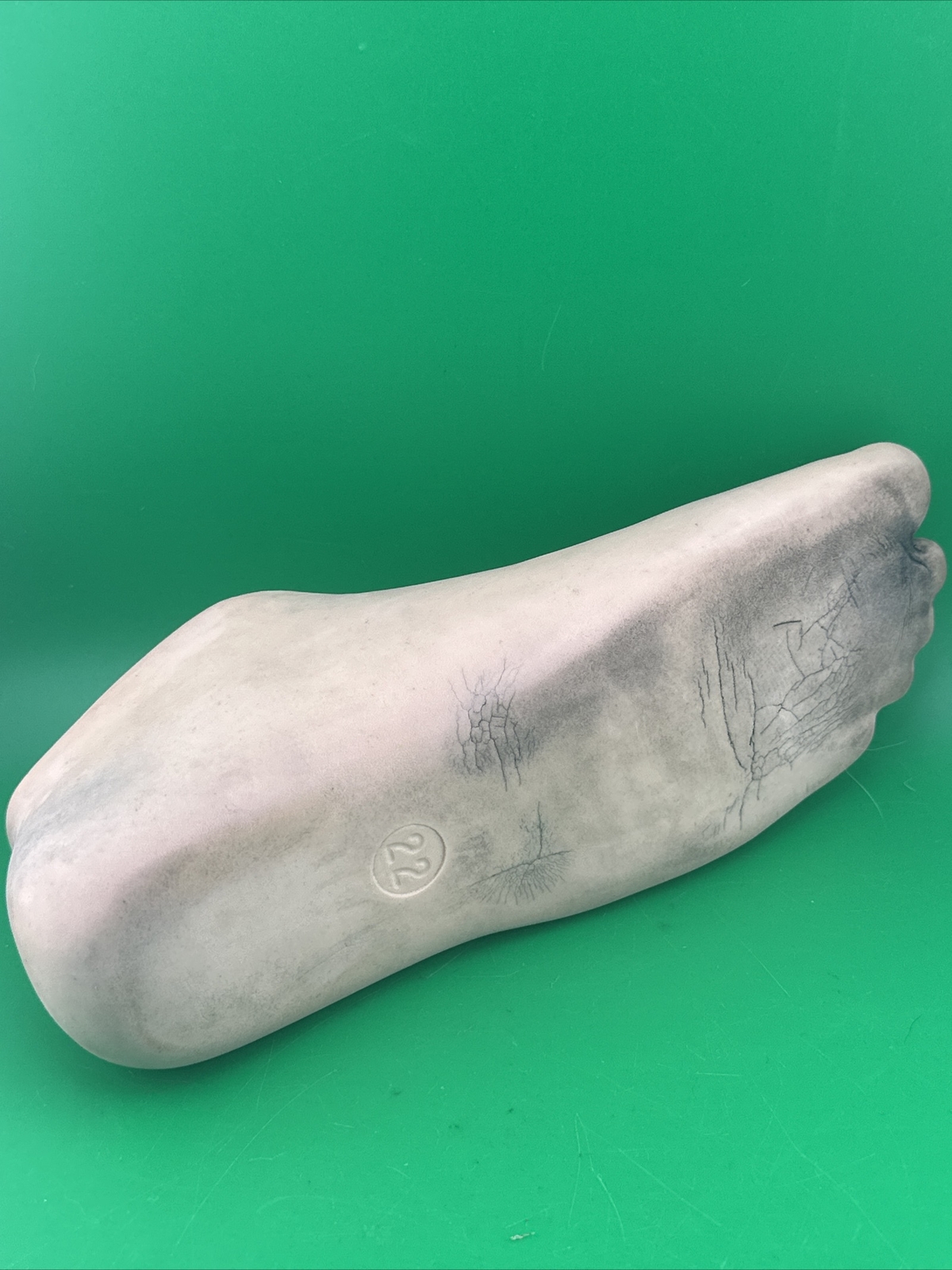 Blatchford Echelon Hydraulic Ankle, Prosthetic Foot. Size 22. Category Unknown